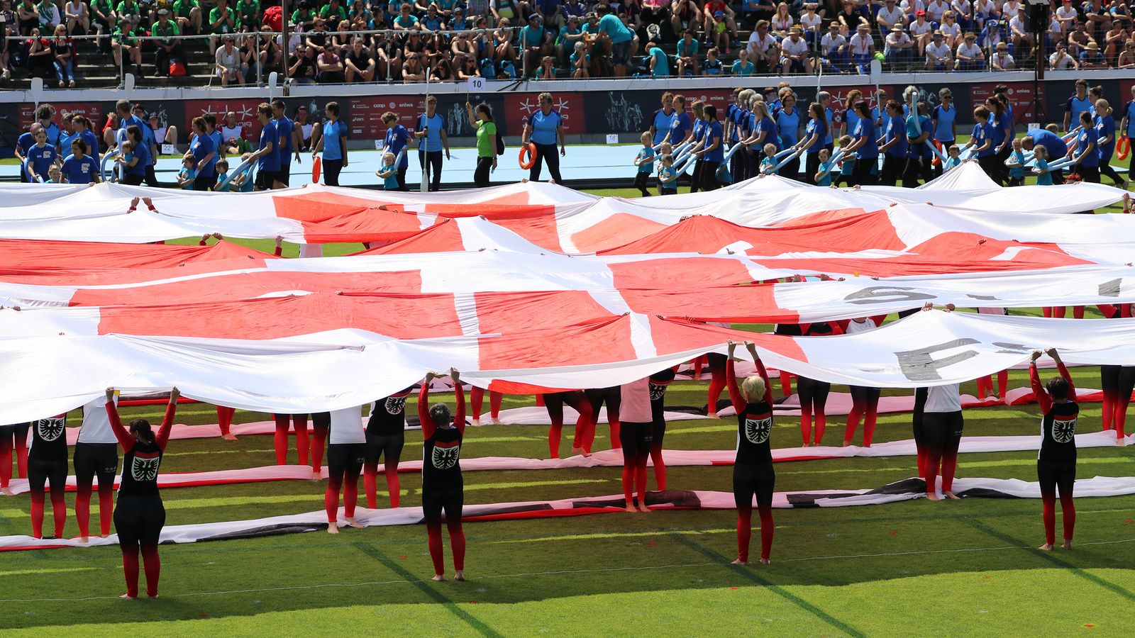 Sich individuell und nach Interesse informieren